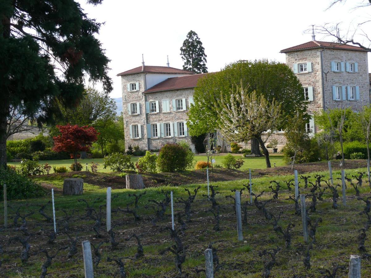Chateau De Grandmont Chambres D'Hotes Blace Ngoại thất bức ảnh